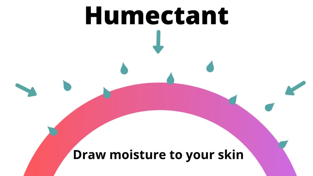Skincare Simplexity: Hydration & Sun Protection